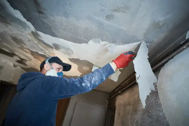 call-mold-removal